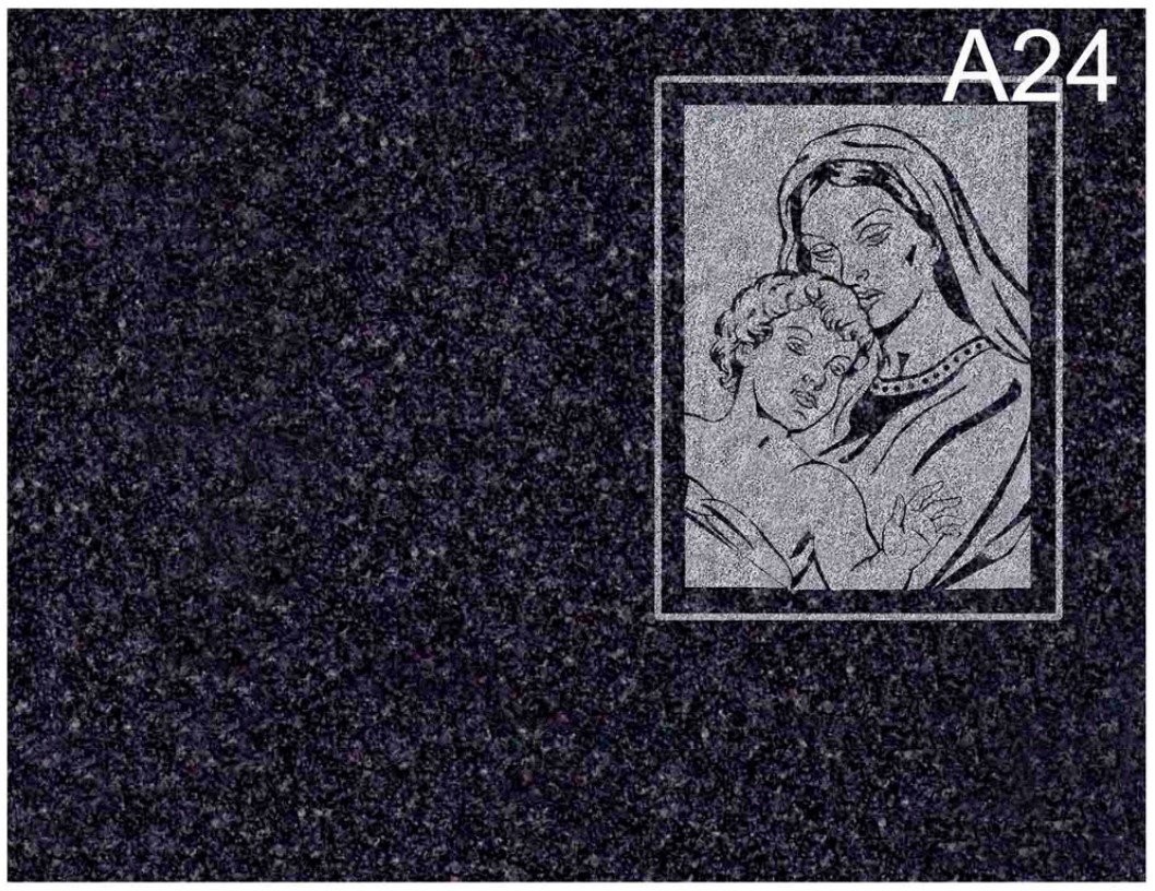 C24
