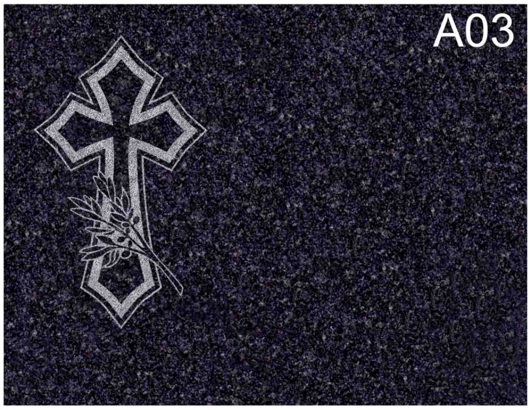 C03