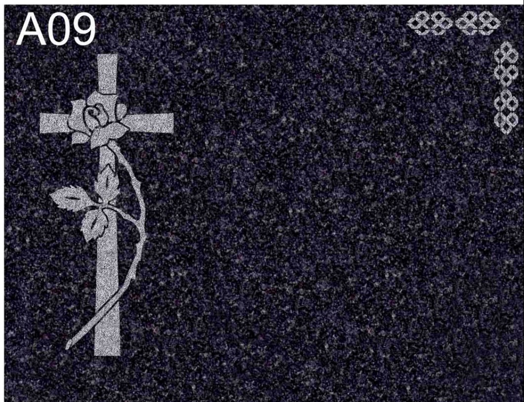 C09