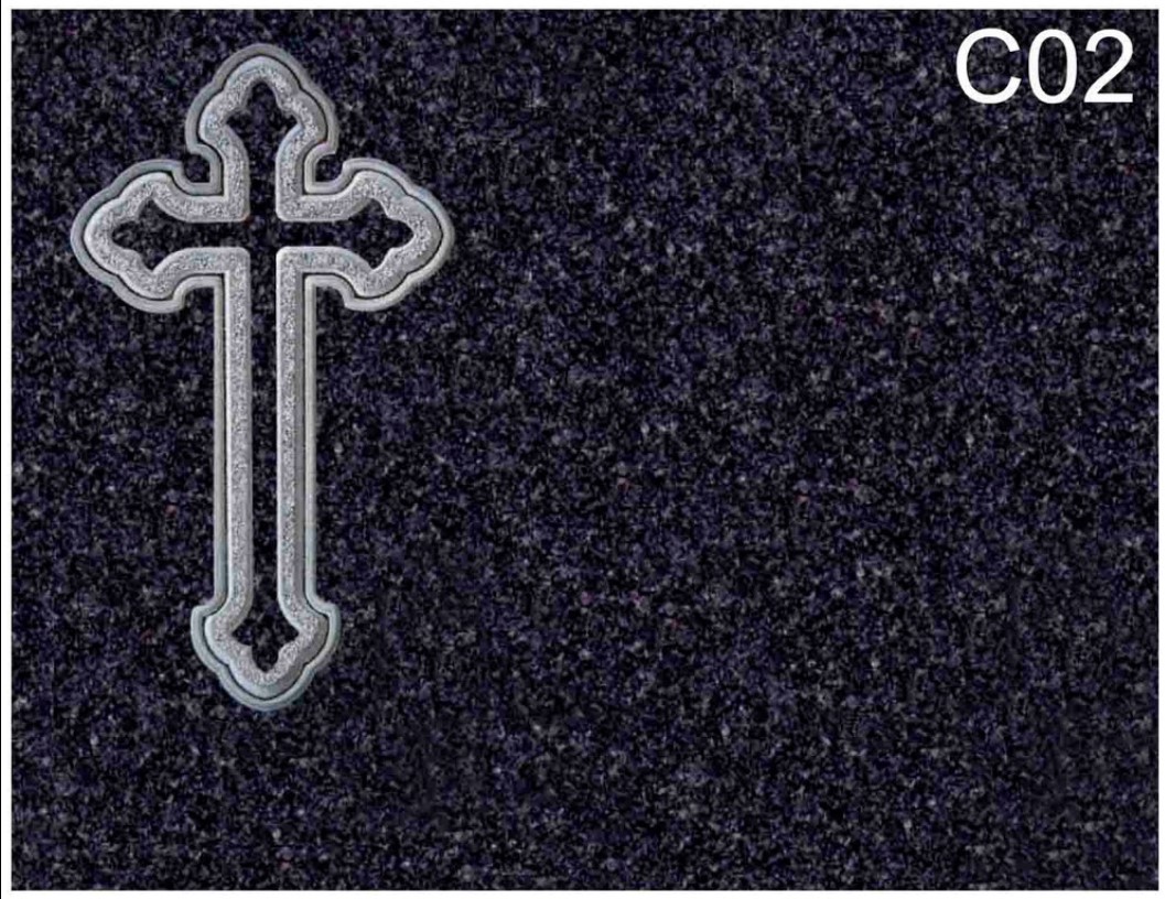 C02