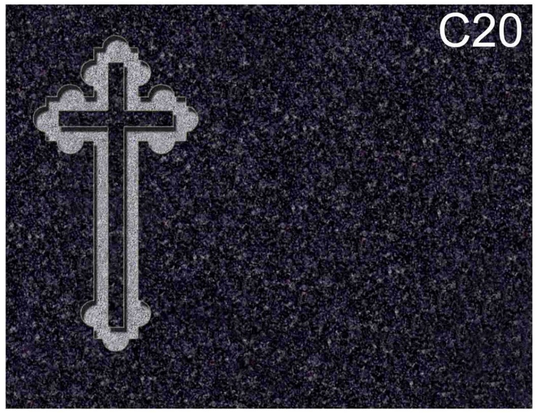 C20