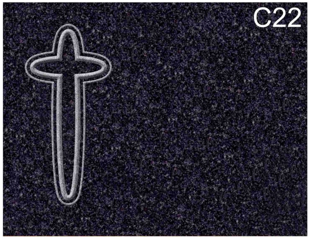 C22