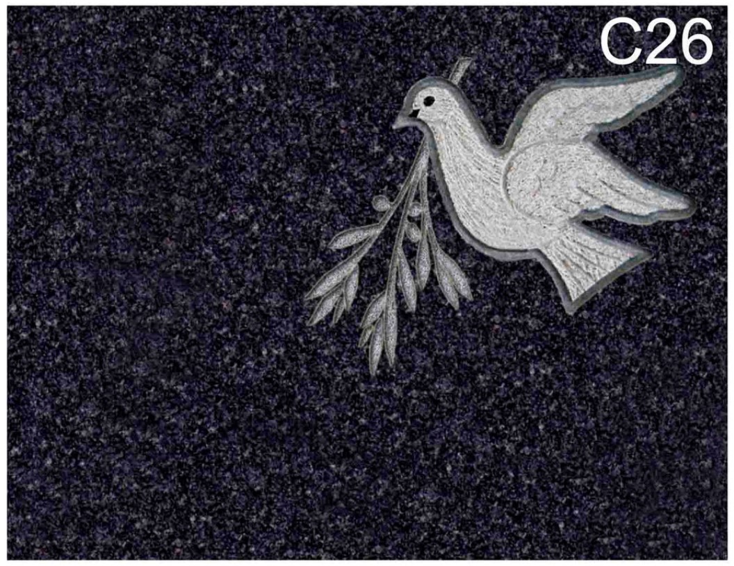 C26