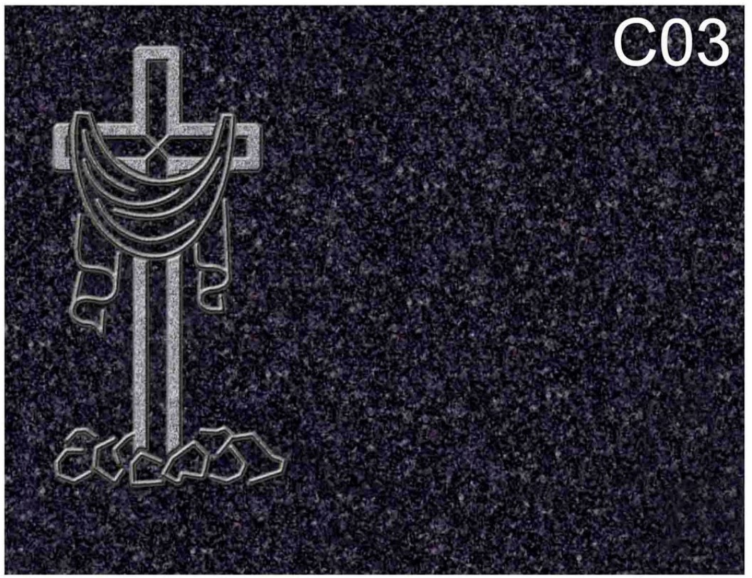 C03