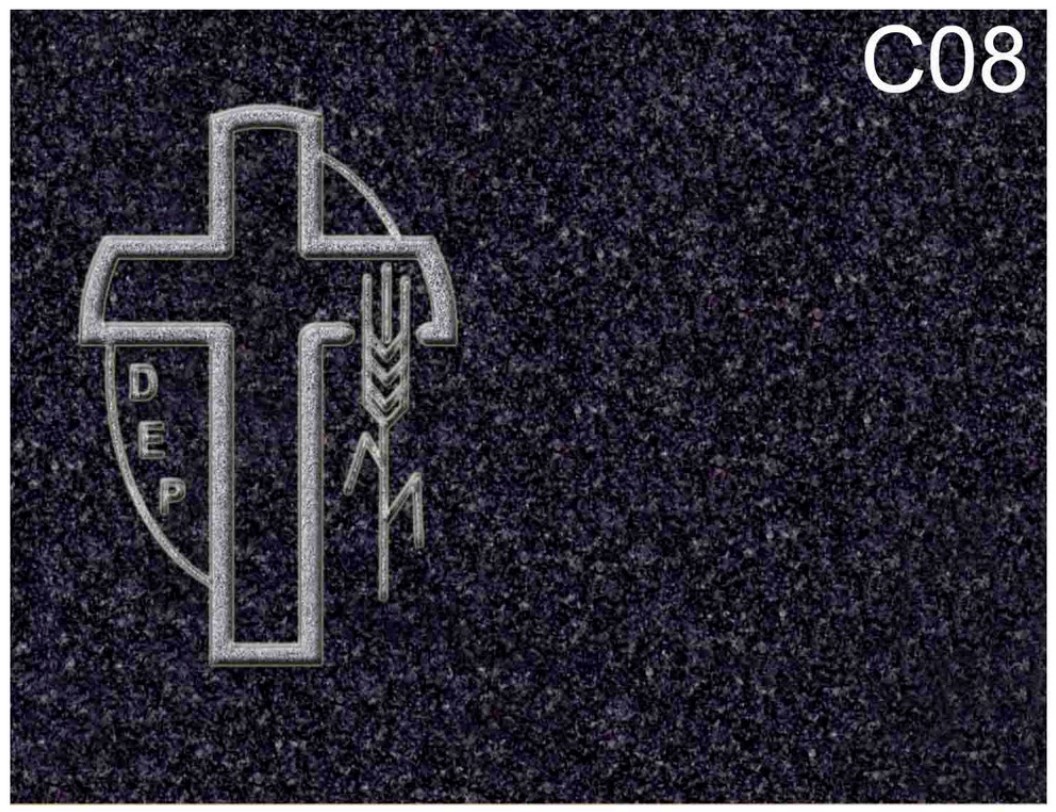 C08