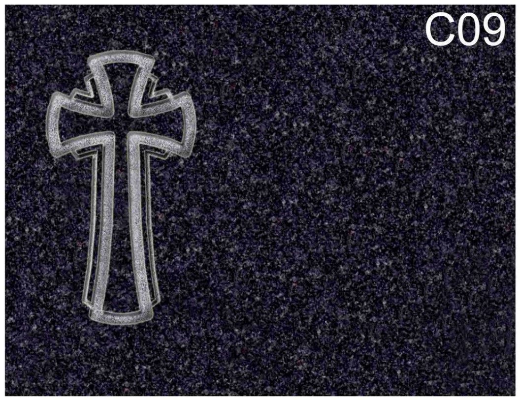 C09